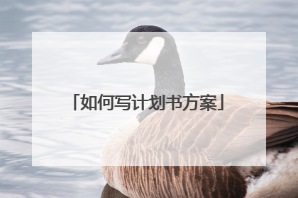 如何写计划书方案