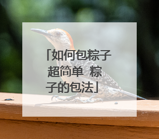 如何包粽子 超简单 粽子的包法