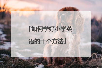 如何学好小学英语的十个方法