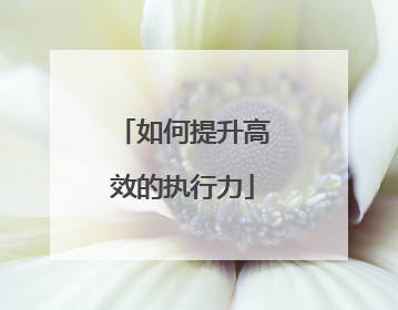 如何提升高效的执行力