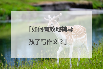 如何有效地辅导孩子写作文？