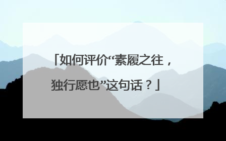 如何评价“素履之往，独行愿也”这句话？