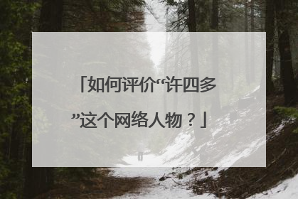 如何评价“许四多”这个网络人物?
