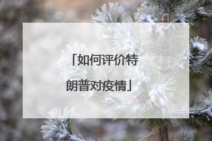 如何评价特朗普对疫情