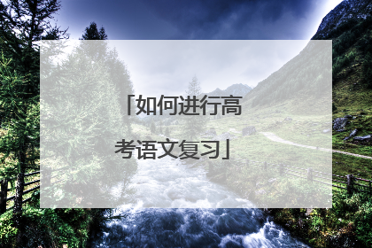 如何进行高考语文复习