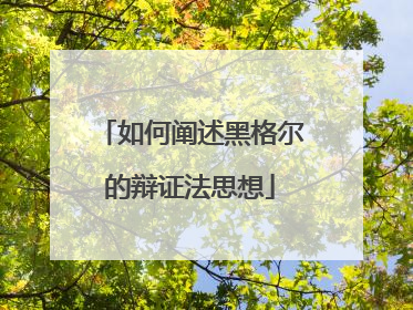 如何阐述黑格尔的辩证法思想