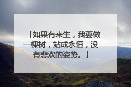 如果有来生，我要做一棵树，站成永恒，没有悲欢的姿势。