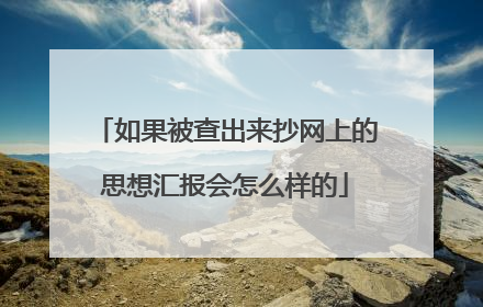 如果被查出来抄网上的思想汇报会怎么样的