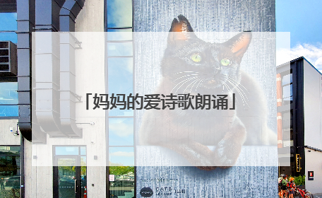 妈妈的爱诗歌朗诵