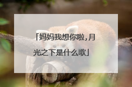 妈妈我想你啦,月光之下是什么歌