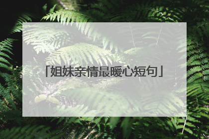 姐妹亲情最暖心短句