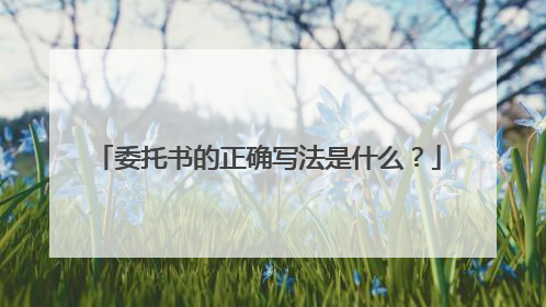 委托书的正确写法是什么？