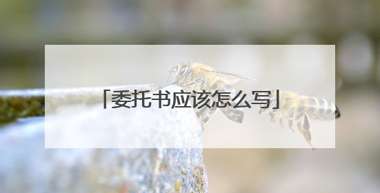 委托书应该怎么写