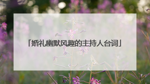 婚礼幽默风趣的主持人台词