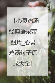 心灵鸡汤经典语录带图片_心灵鸡汤句子语录大全