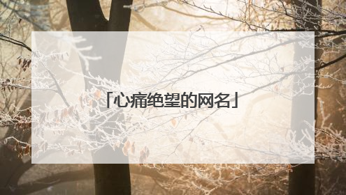 心痛绝望的网名