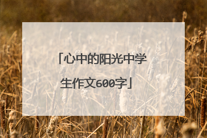 心中的阳光中学生作文600字