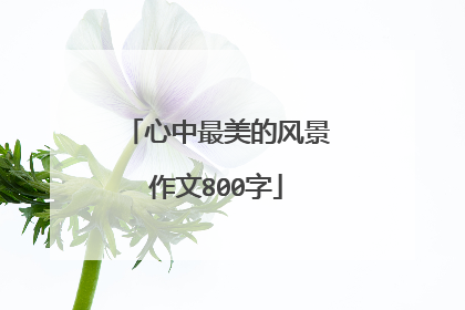 心中最美的风景作文800字
