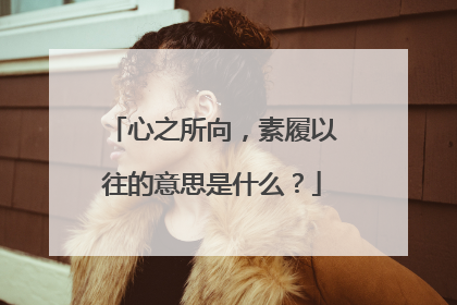 心之所向，素履以往的意思是什么？
