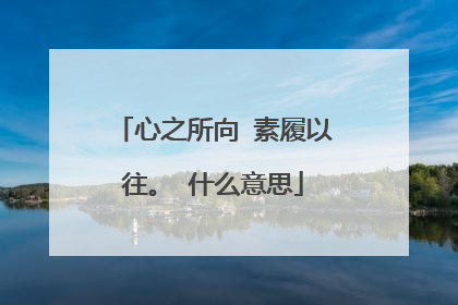 心之所向 素履以往。 什么意思