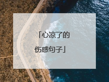心凉了的伤感句子