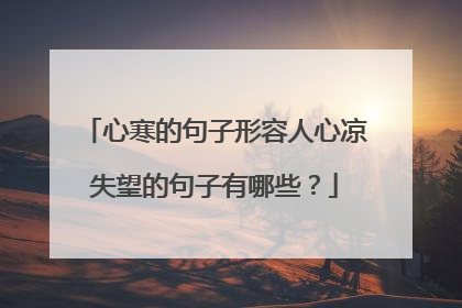 心寒的句子形容人心凉失望的句子有哪些？