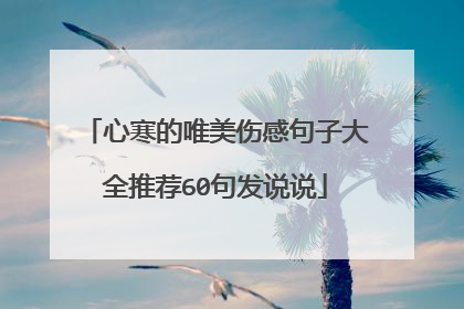 心寒的唯美伤感句子大全推荐60句发说说