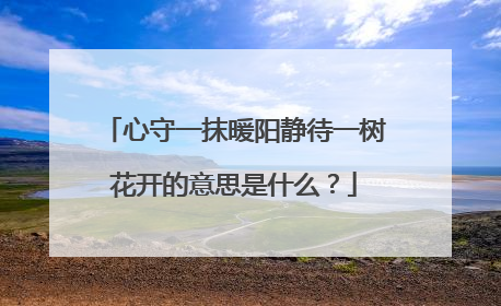 心守一抹暖阳静待一树花开的意思是什么？