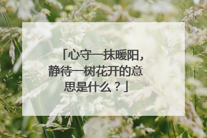 心守一抹暖阳,静待一树花开的意思是什么？