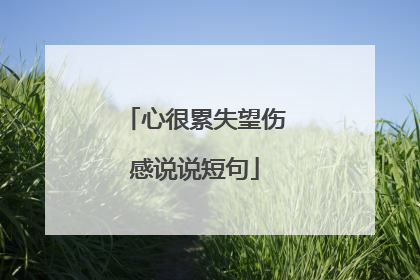 心很累失望伤感说说短句
