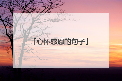 心怀感恩的句子