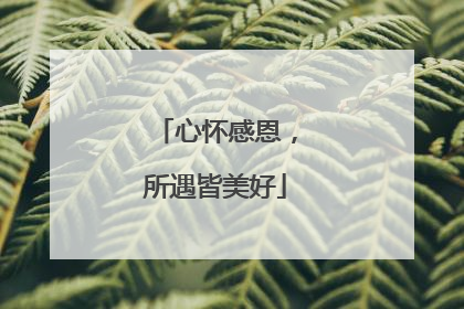心怀感恩，所遇皆美好