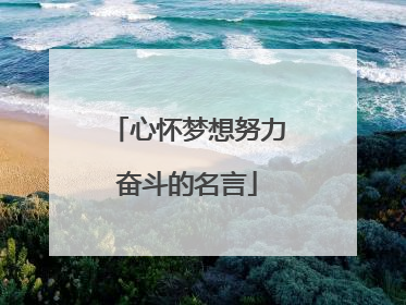 心怀梦想努力奋斗的名言