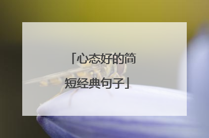心态好的简短经典句子