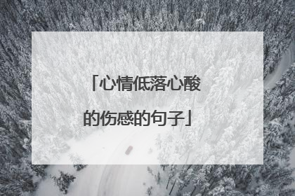 心情低落心酸的伤感的句子