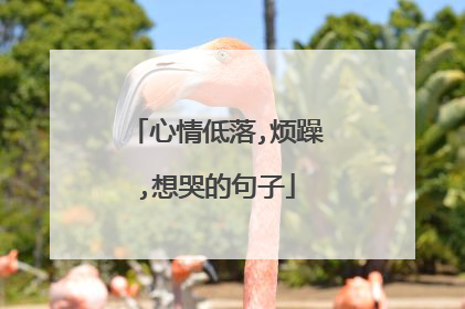 心情低落,烦躁,想哭的句子