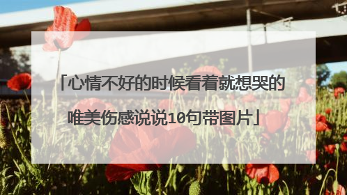 心情不好的时候看着就想哭的唯美伤感说说10句带图片