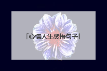 心情人生感悟句子