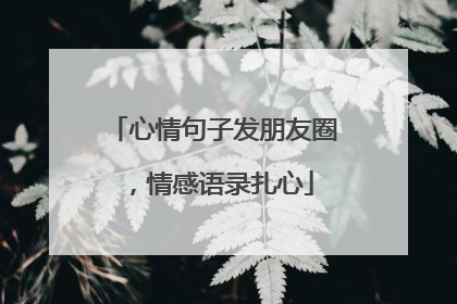 心情句子发朋友圈,情感语录扎心