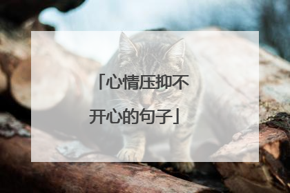 心情压抑不开心的句子