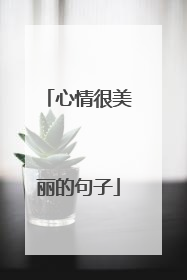 心情很美丽的句子