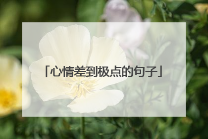 心情差到极点的句子