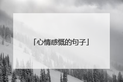 心情感慨的句子