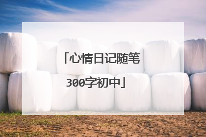 心情日记随笔300字初中
