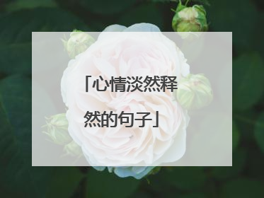 心情淡然释然的句子