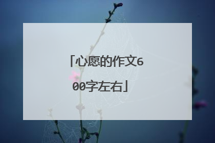 心愿的作文600字左右