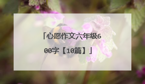 心愿作文六年级600字【10篇】