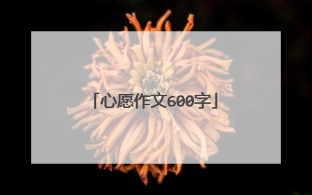 心愿作文600字