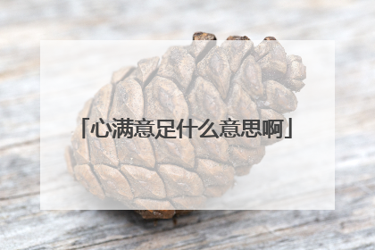 心满意足什么意思啊