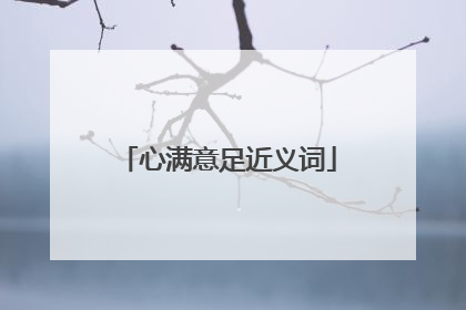 心满意足近义词